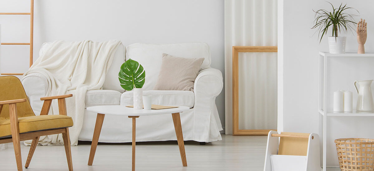 Buy Best Designer Furnish On Best Affordable Price