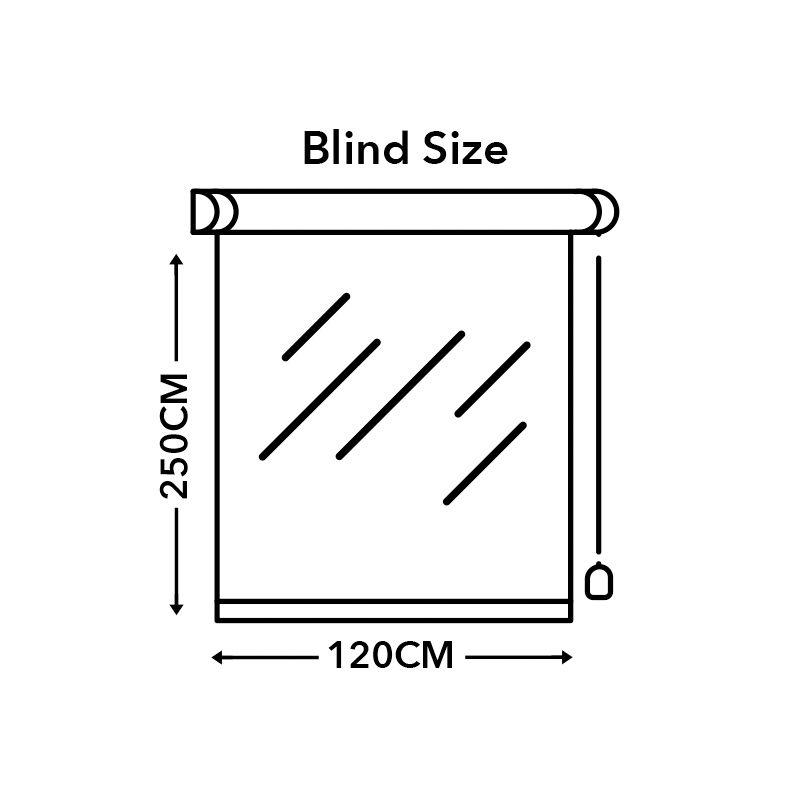 Sunscreen Roller Blind 120X250 cm, Light grey - Image 4