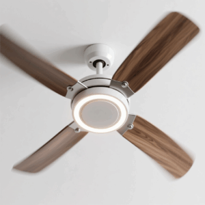 Ceiling Fans